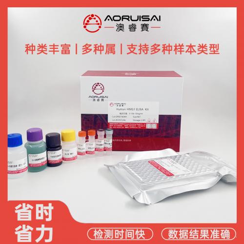 Human DCAF10 ELISA试剂盒