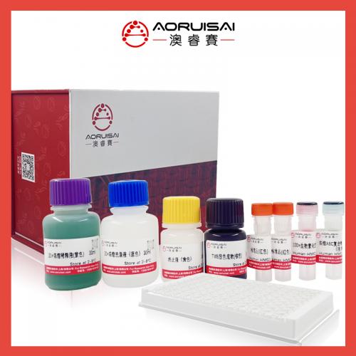 猴胃蛋白酶原II(Pepsinogen II/PGC)ELISA试剂盒