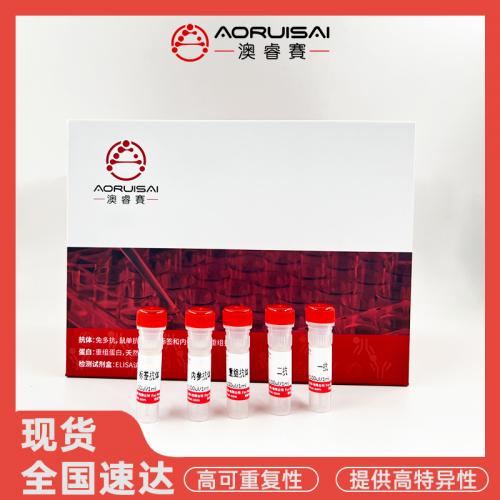 CD20 Recombinant Rabbit mAb