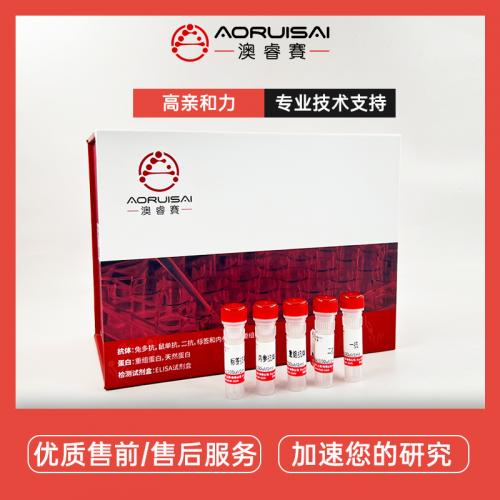 mouse Ly-6G/Ly-6C Rat mAb